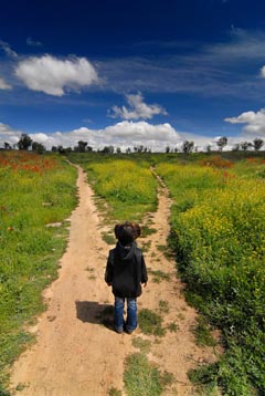 Decisions gets easier as you grow up. In real life and in road cycling. Image by Cuellar.